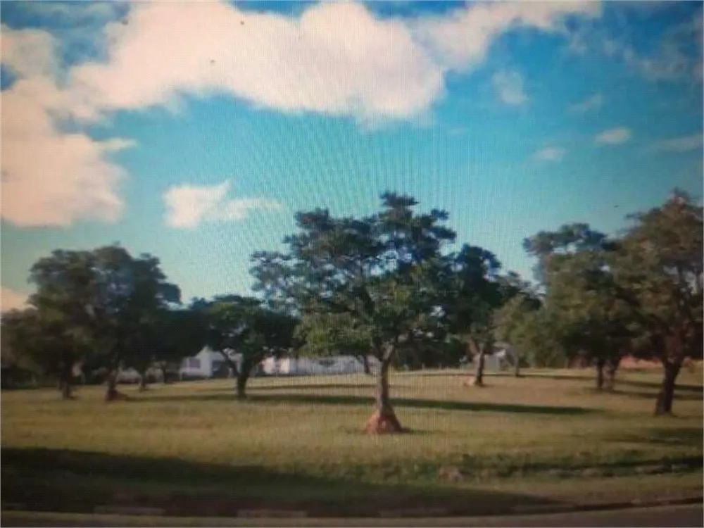 Loteamento e Condomínio, 2500 m² - Foto 2