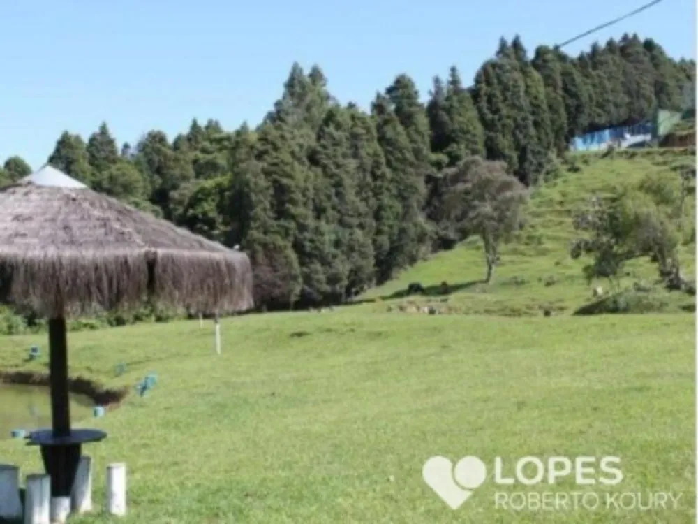 Terreno, 6 hectares - Foto 6