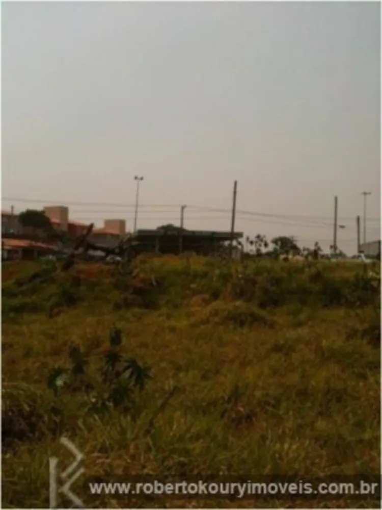 Terreno, 5000 m² - Foto 4