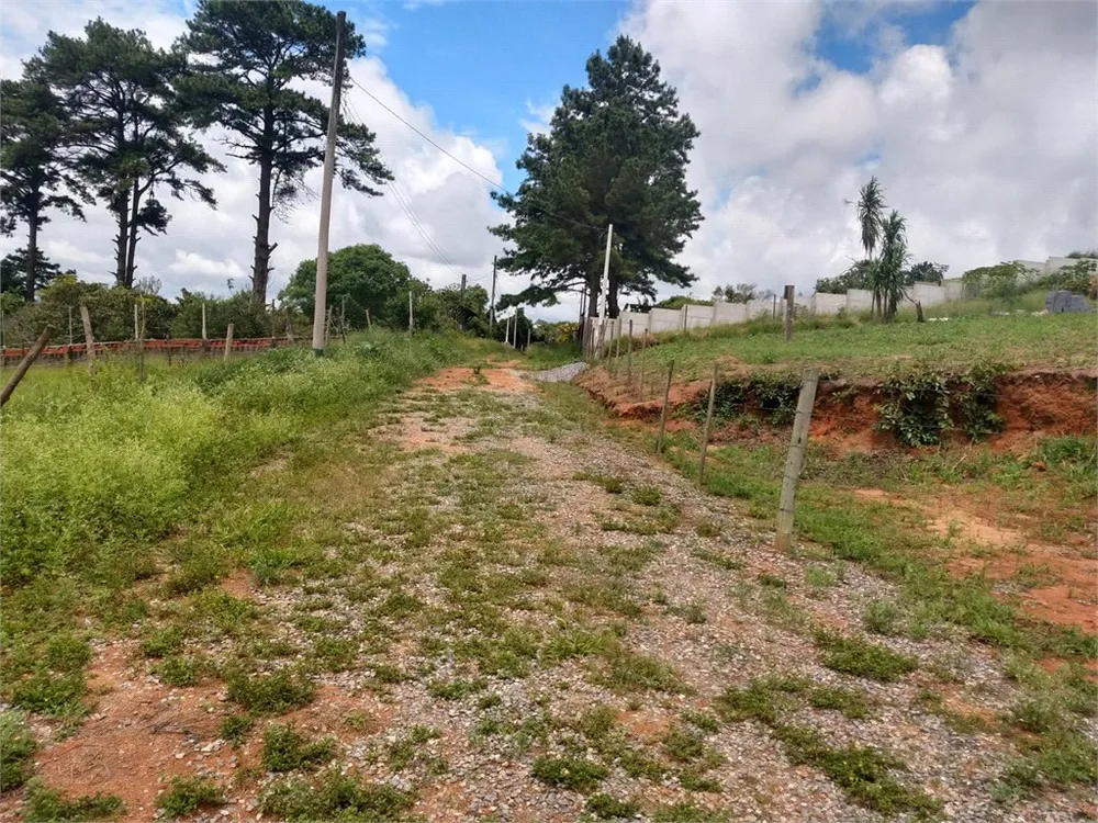 Terreno, 2474 m² - Foto 4