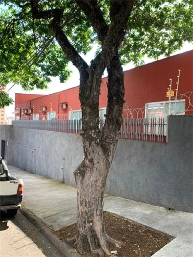 Sala-Conjunto, 260 m² - Foto 4