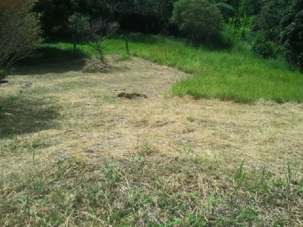 Terreno, 7843 m² - Foto 3