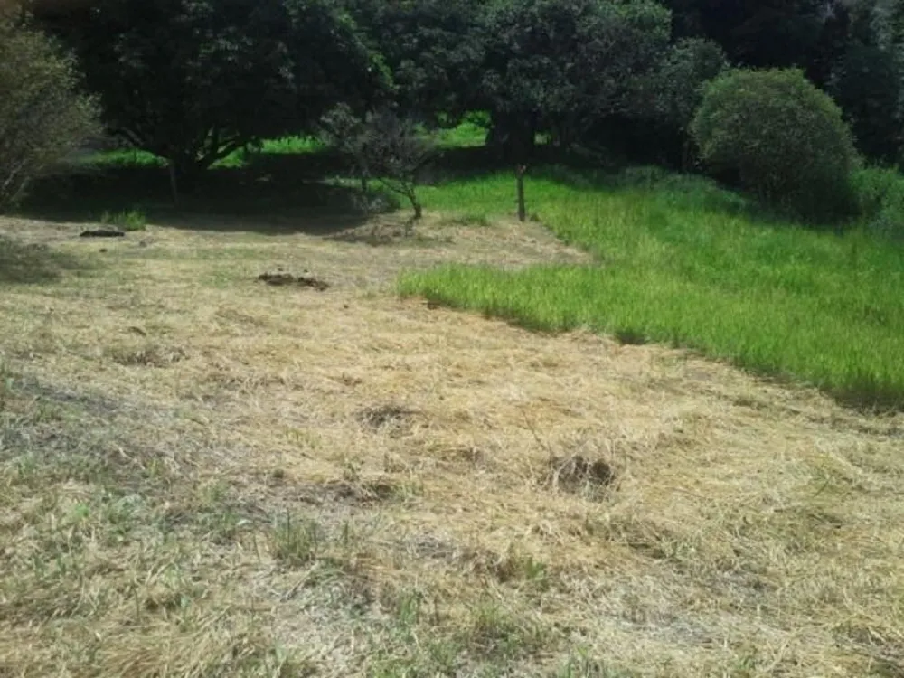 Terreno, 7843 m² - Foto 7
