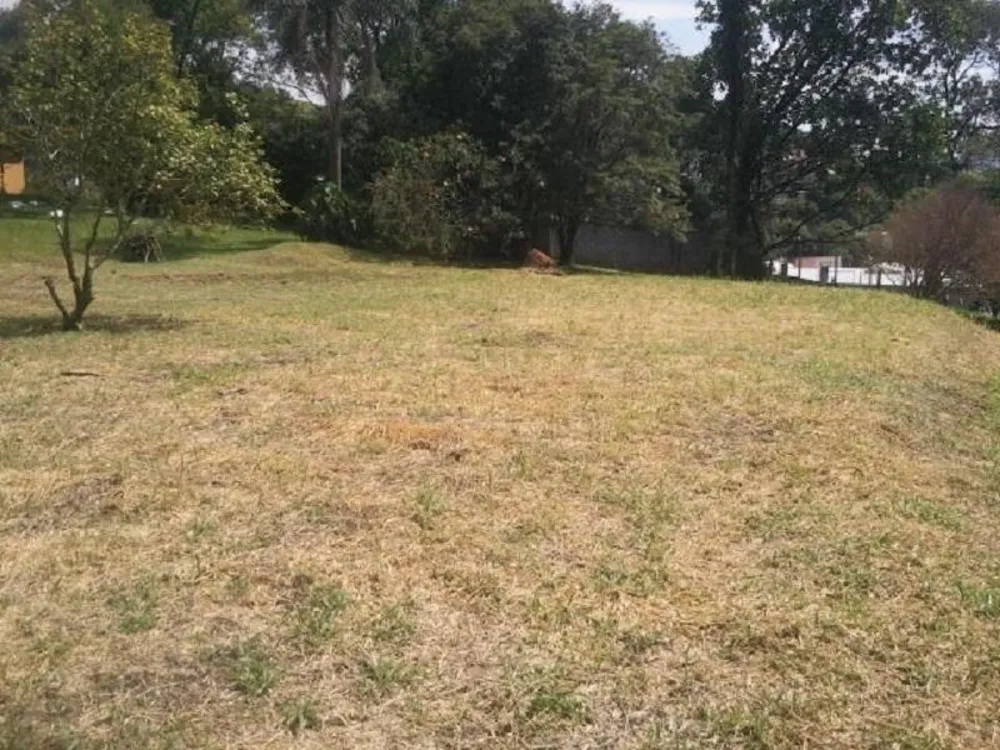 Terreno, 7843 m² - Foto 6