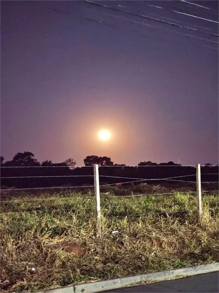Terreno, 2 hectares - Foto 7
