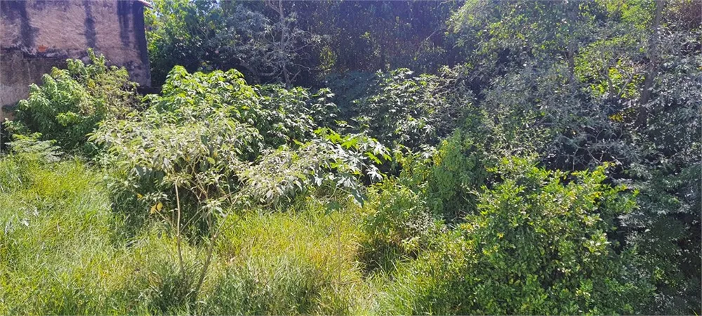 Terreno, 4817 m² - Foto 6