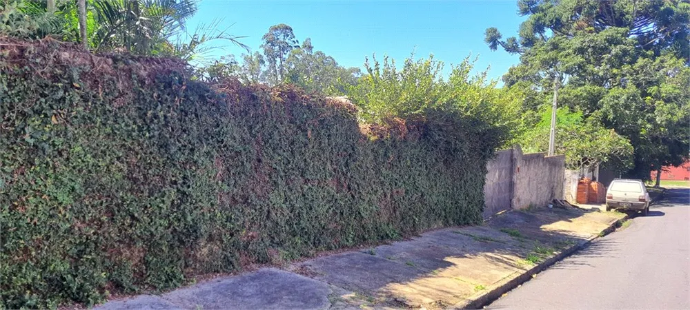 Terreno, 4817 m² - Foto 7