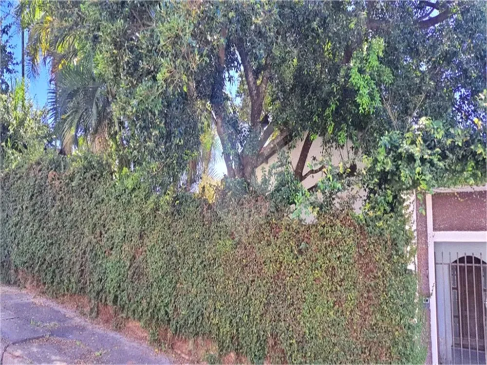 Terreno, 4817 m² - Foto 4