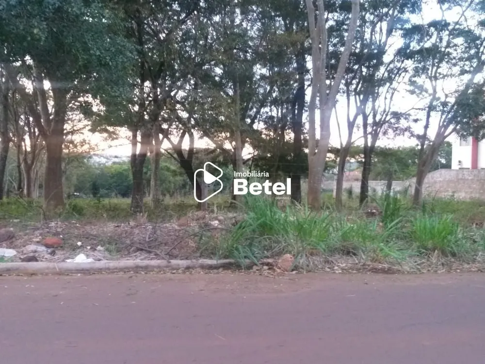 Terreno, 2 hectares - Foto 3