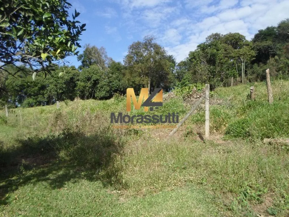 Terreno - Foto 4