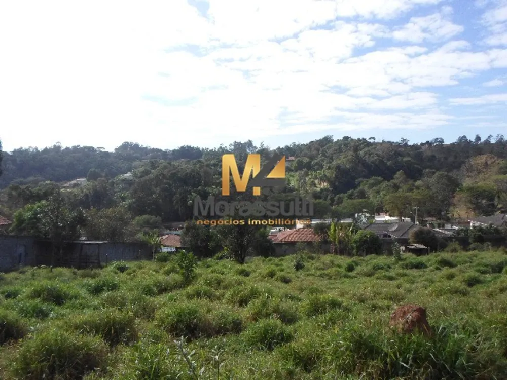 Terreno - Foto 1
