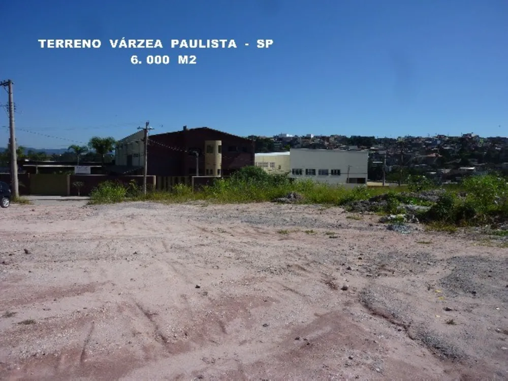 Terreno, 6000 m² - Foto 3