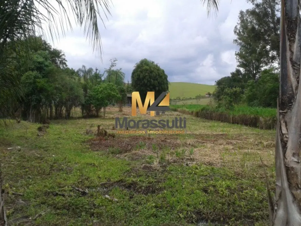Sítio, 3 hectares - Foto 4