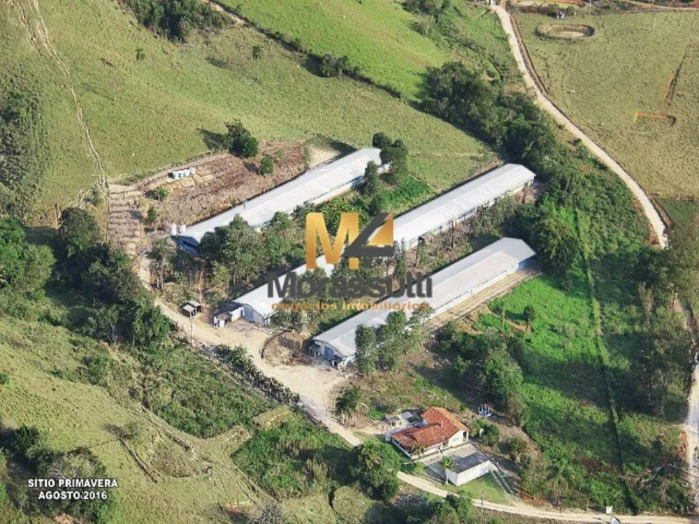 Sítio, 3 hectares - Foto 1