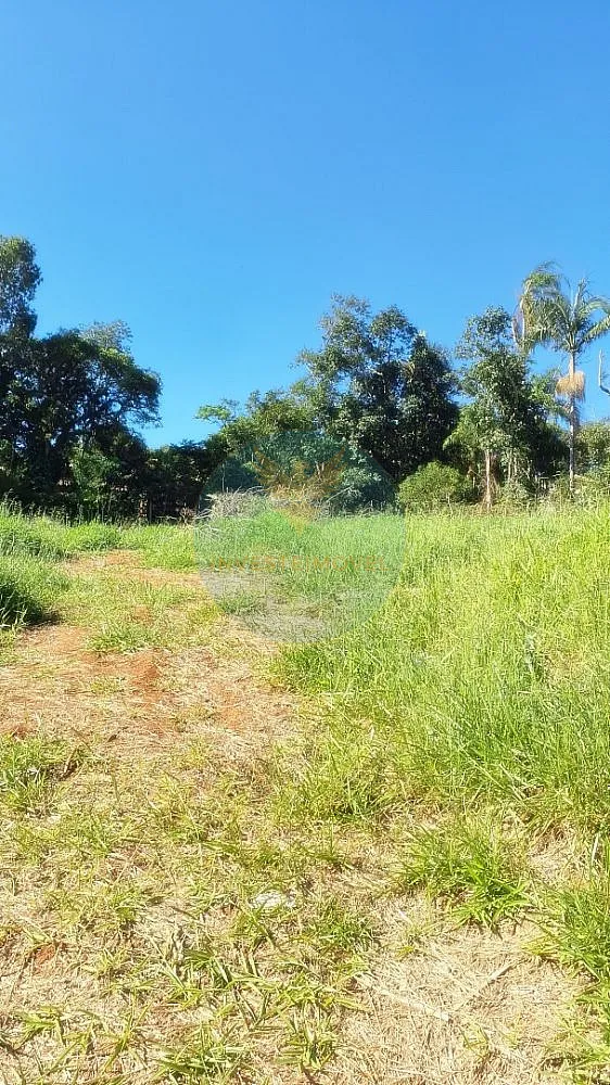 Terreno, 1754 m² - Foto 7