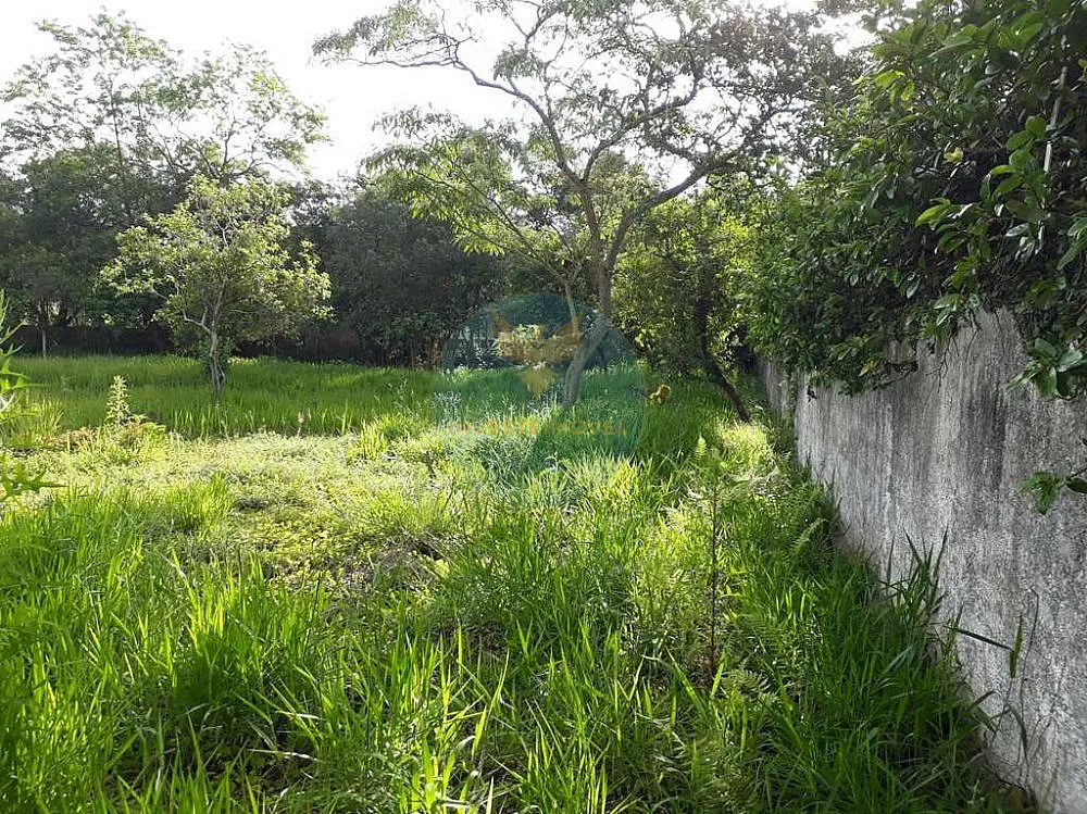 Terreno, 1483 m² - Foto 4