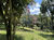 Terreno, 2 hectares - Foto 2