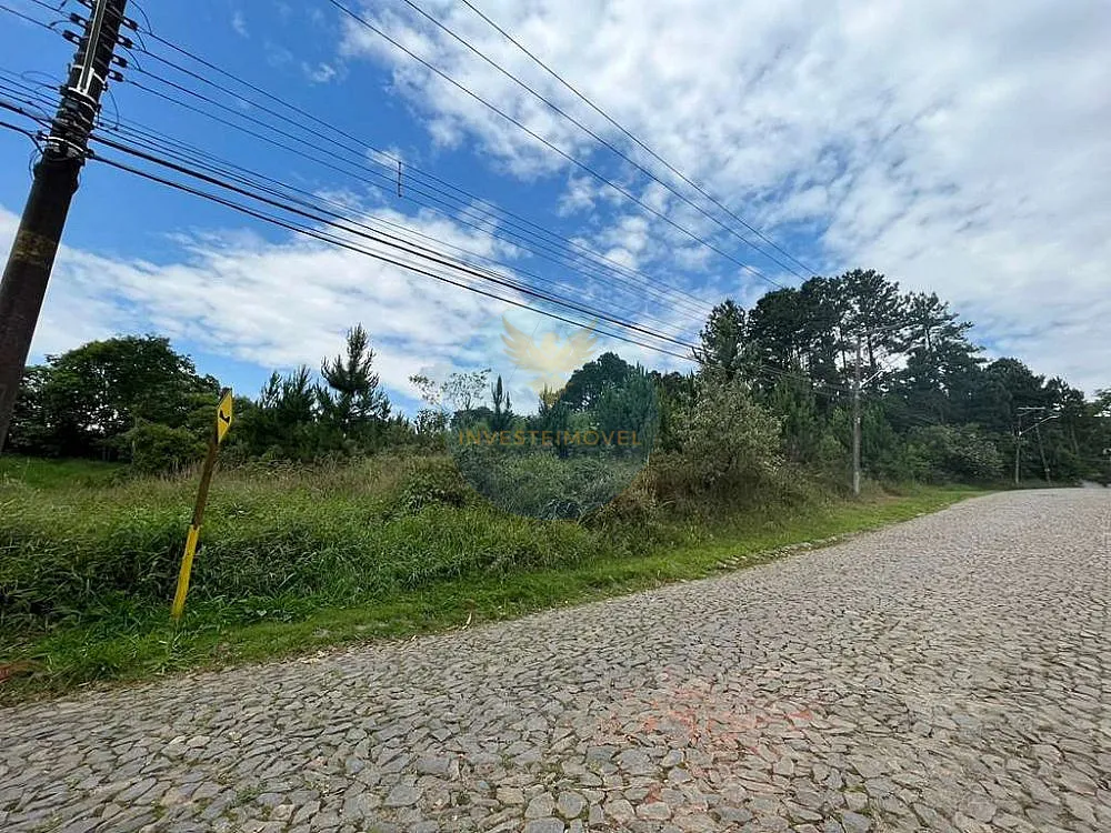 Terreno, 4973 m² - Foto 4
