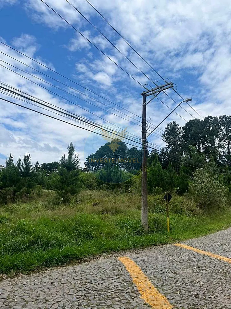 Terreno, 4973 m² - Foto 5