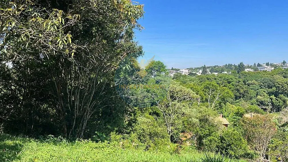 Terreno, 1042 m² - Foto 4