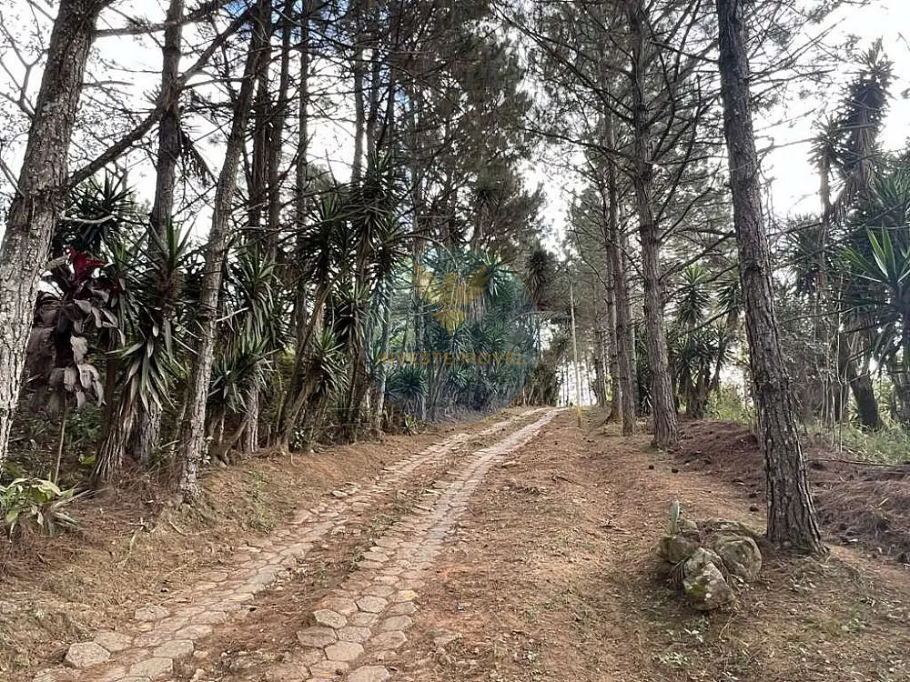 Terreno, 2 hectares - Foto 3