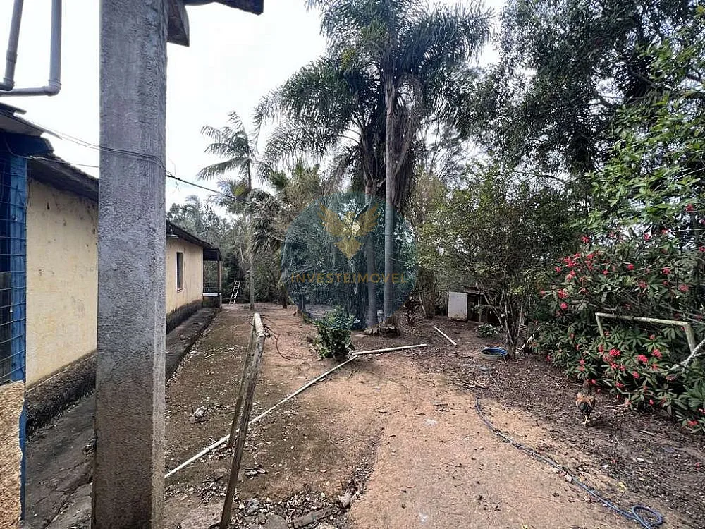 Terreno, 2 hectares - Foto 13