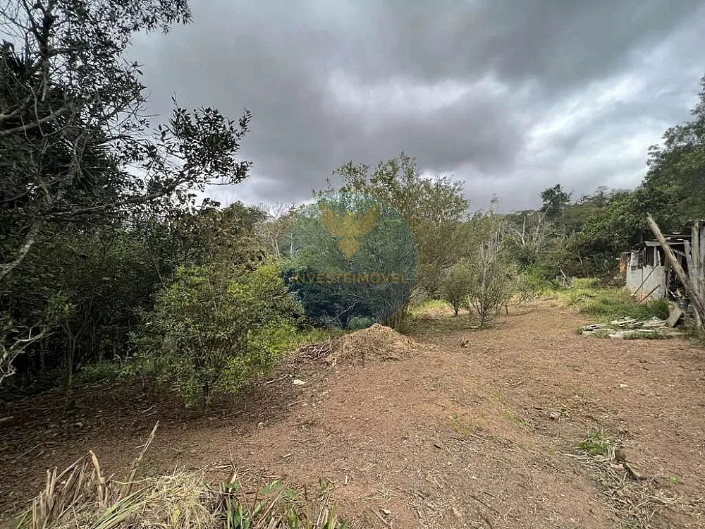 Terreno, 2 hectares - Foto 9