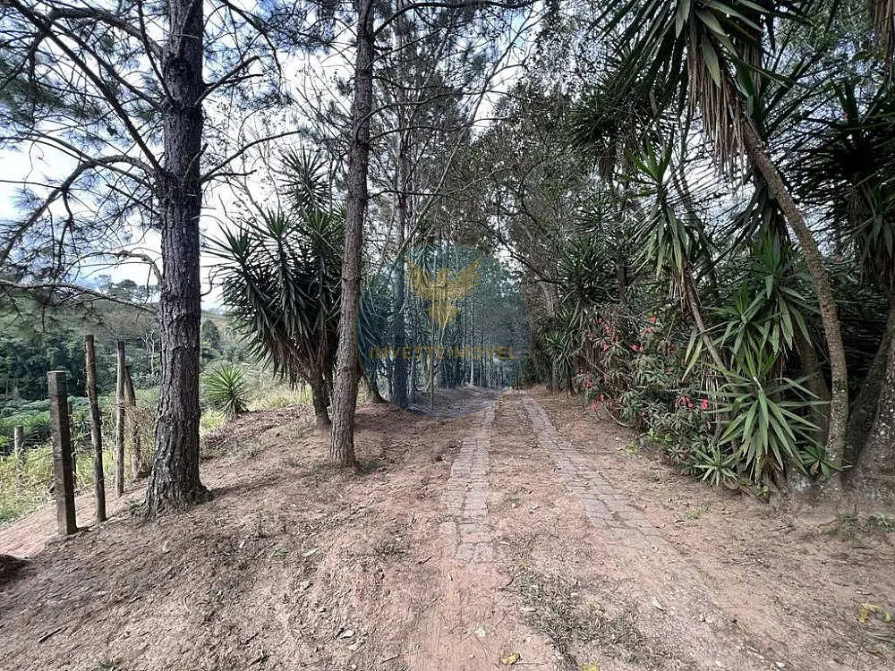 Terreno, 2 hectares - Foto 4