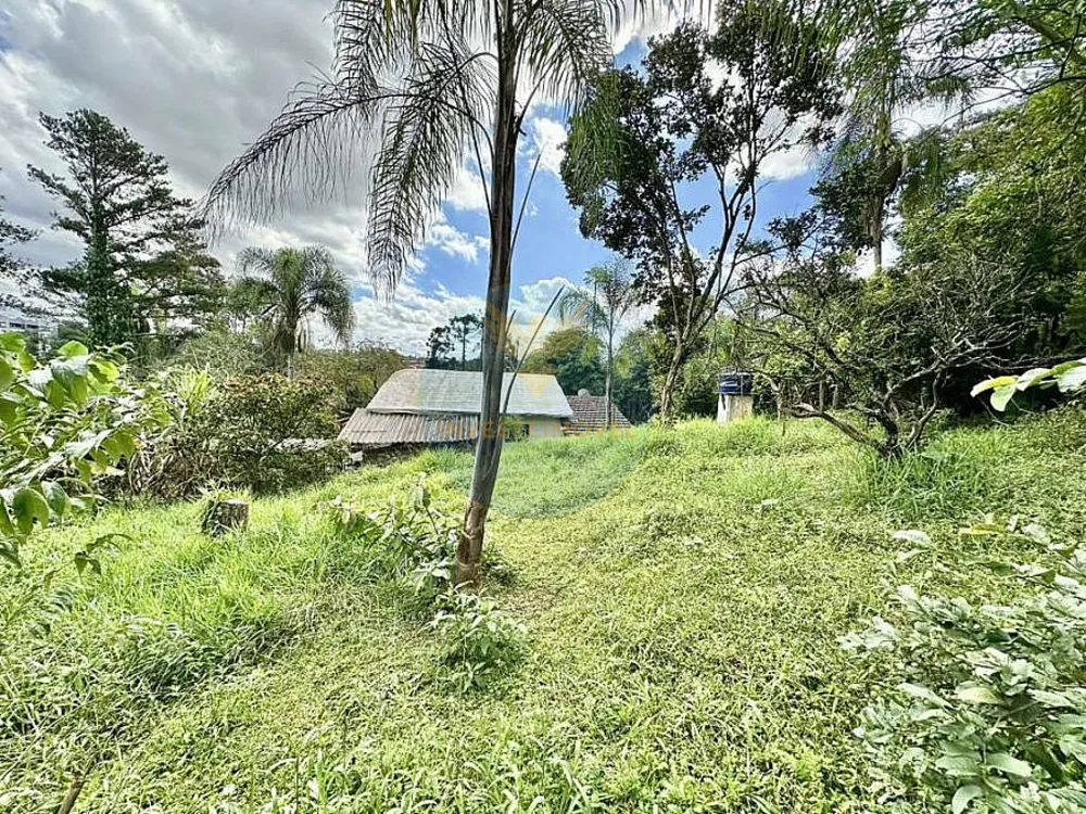 Chácara, 3 quartos, 4700 m² - Foto 10