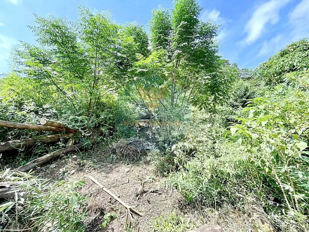 Terreno, 907 m² - Foto 6