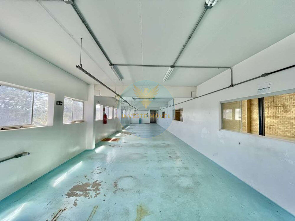 Depósito-Galpão, 1295 m² - Foto 4