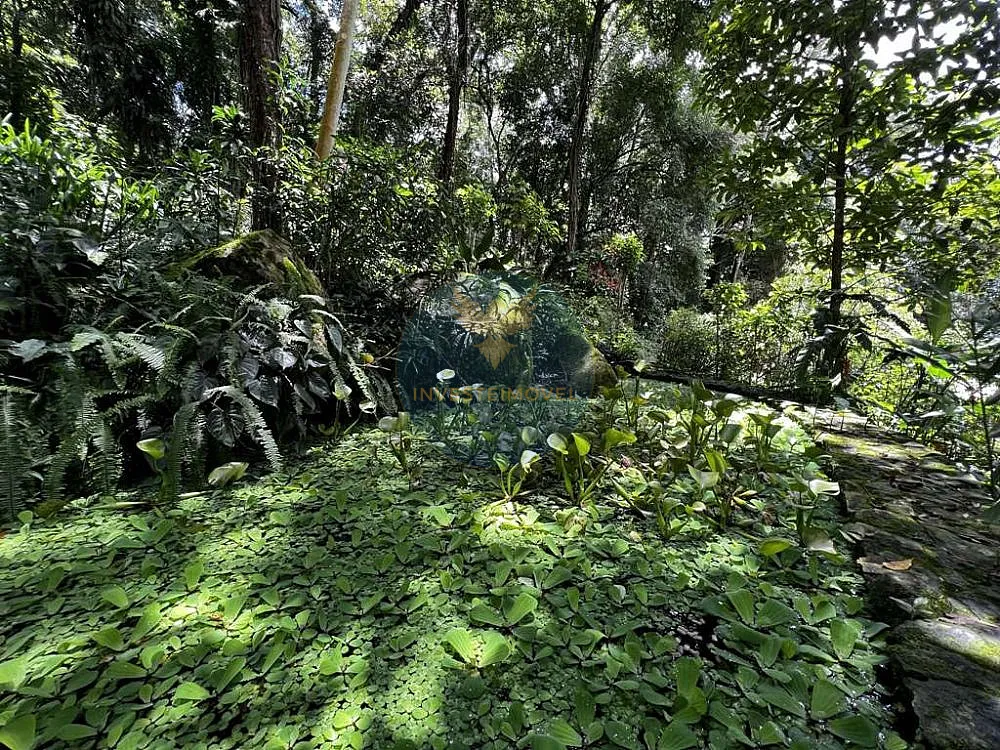 Chácara, 3 quartos, 5250 m² - Foto 3