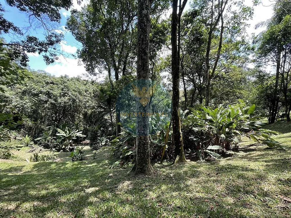 Terreno, 2 hectares - Foto 4