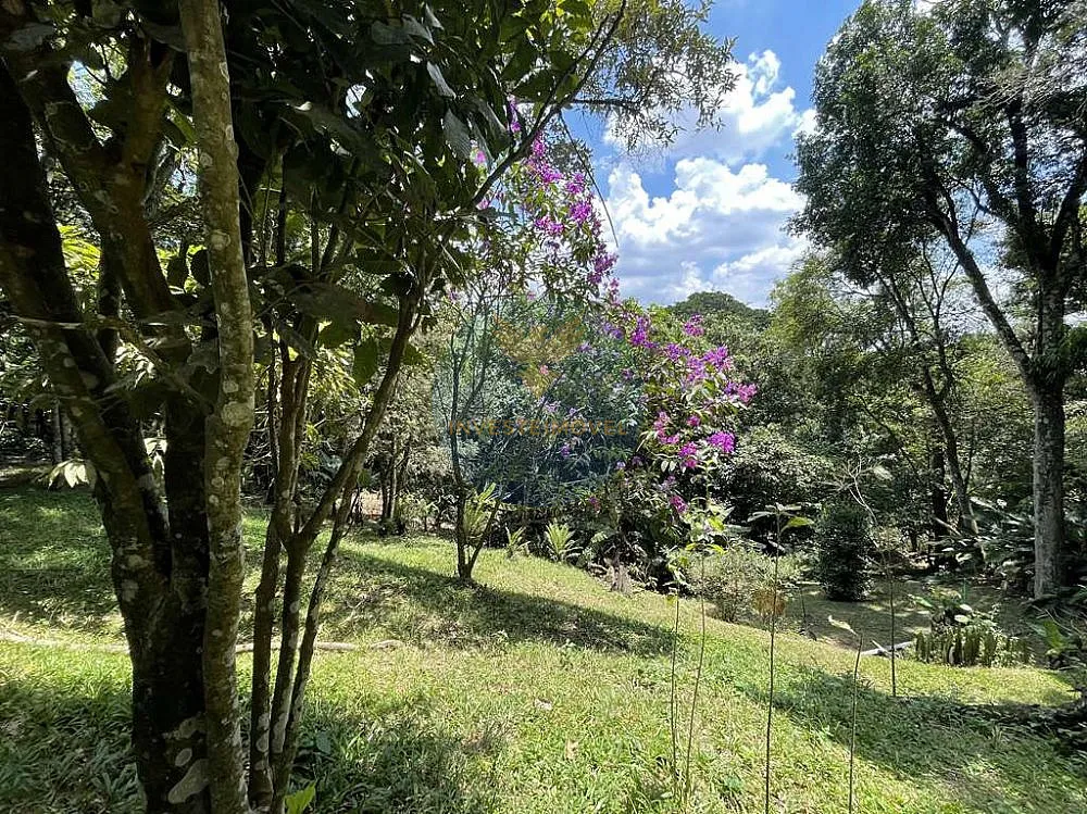 Terreno, 2 hectares - Foto 3