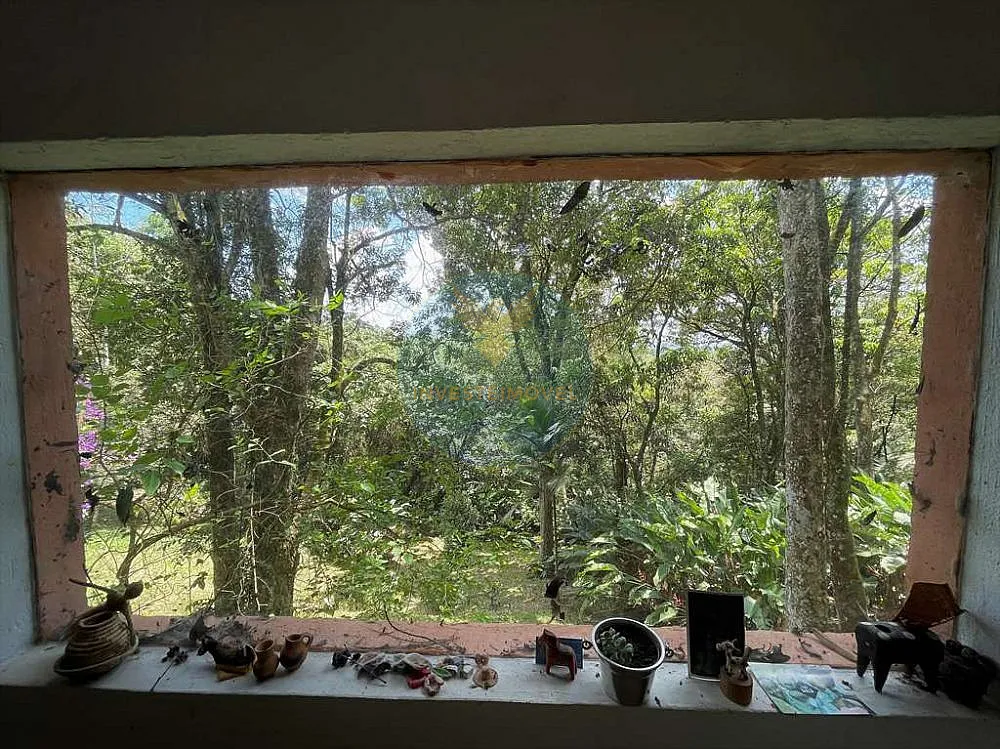 Terreno, 2 hectares - Foto 12