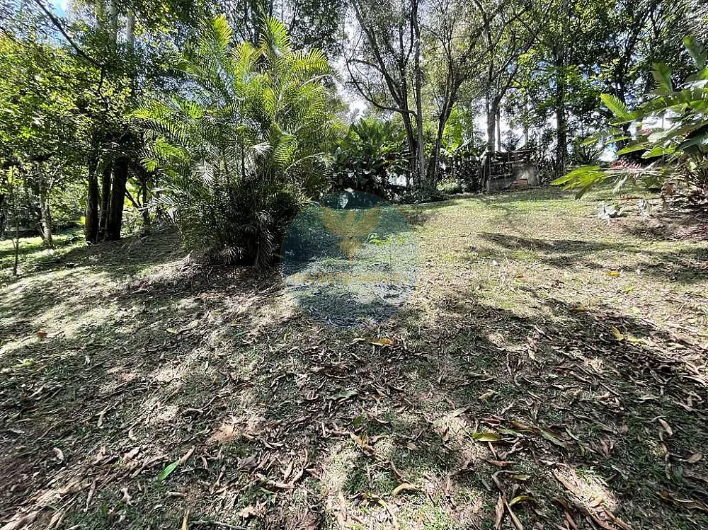 Terreno, 2 hectares - Foto 7