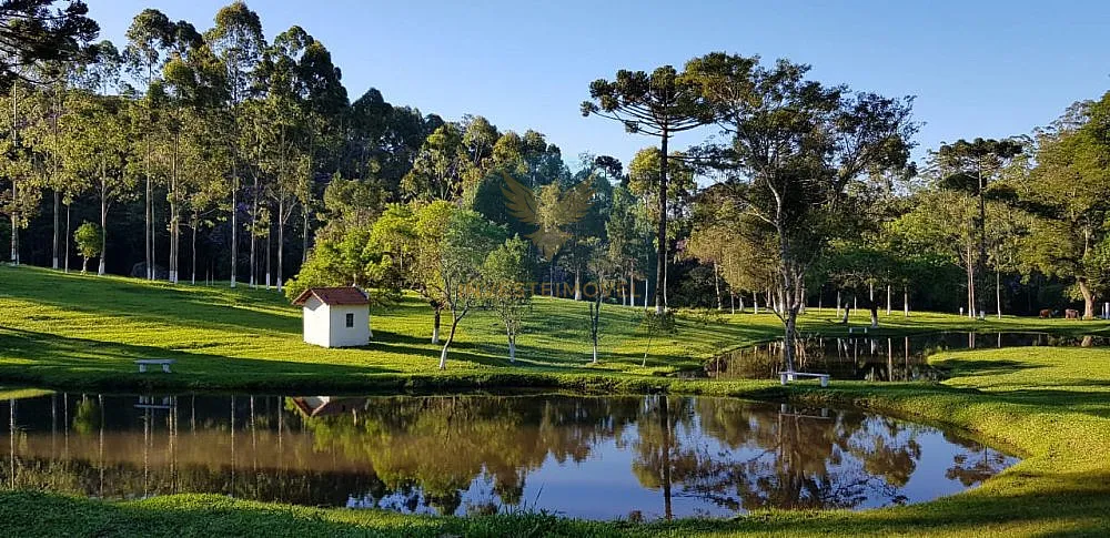 Fazenda, 17 hectares - Foto 2