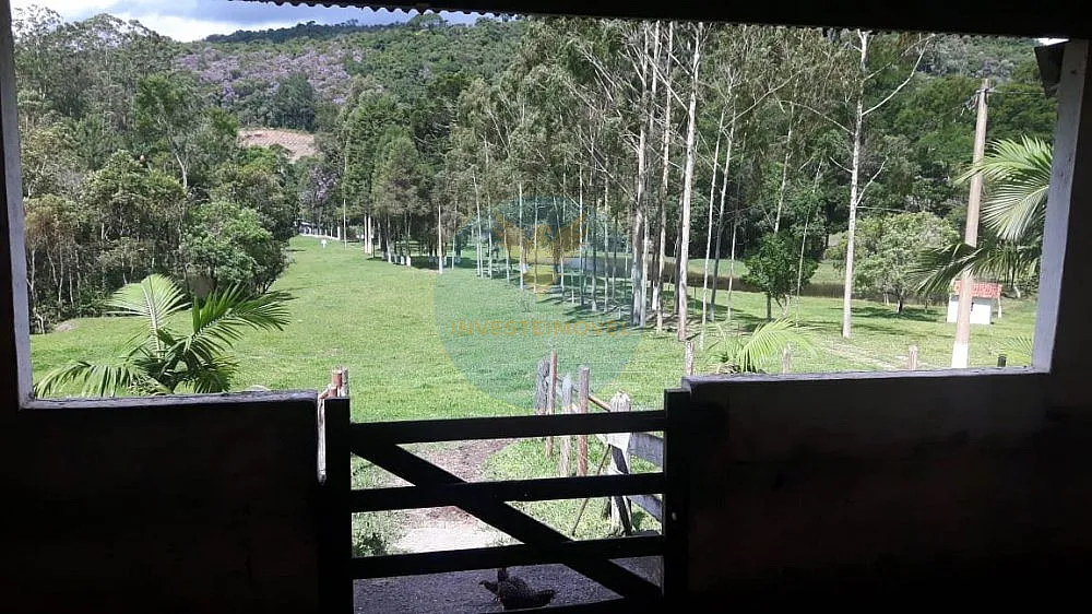 Sítio, 4 quartos, 17 hectares - Foto 11