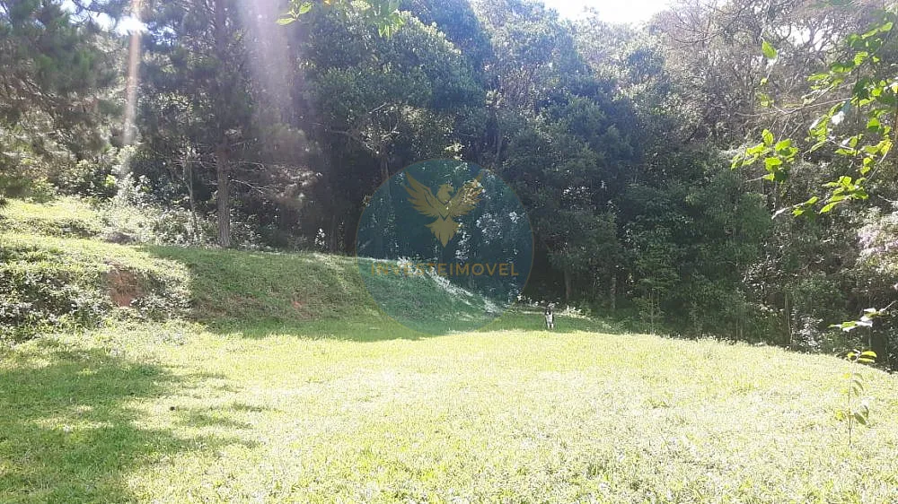 Fazenda, 17 hectares - Foto 9