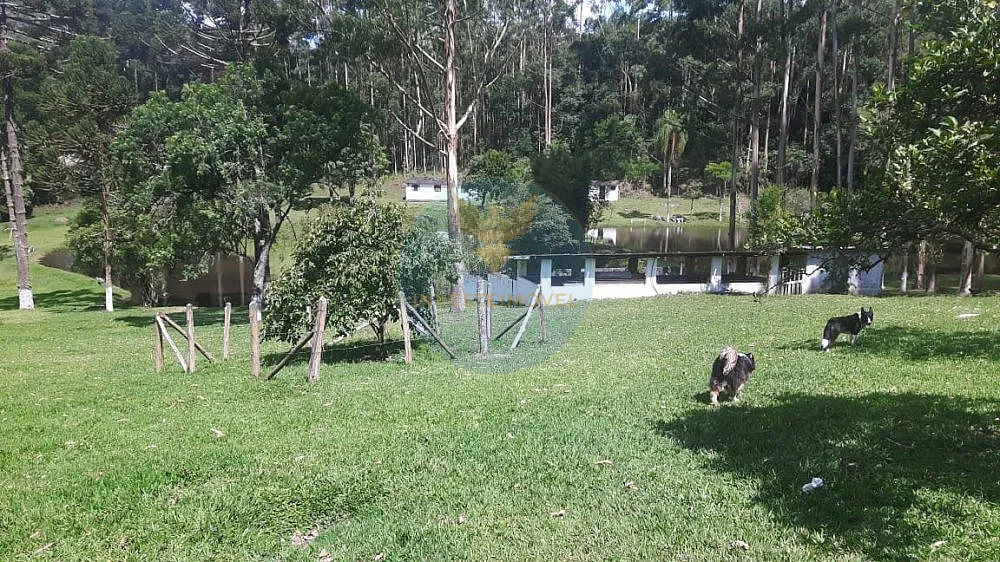 Fazenda, 17 hectares - Foto 3