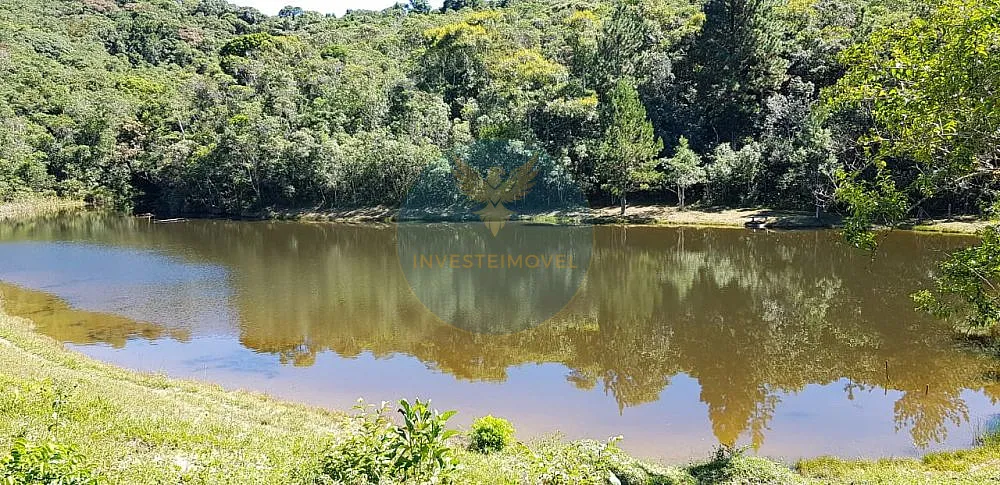 Fazenda, 17 hectares - Foto 8