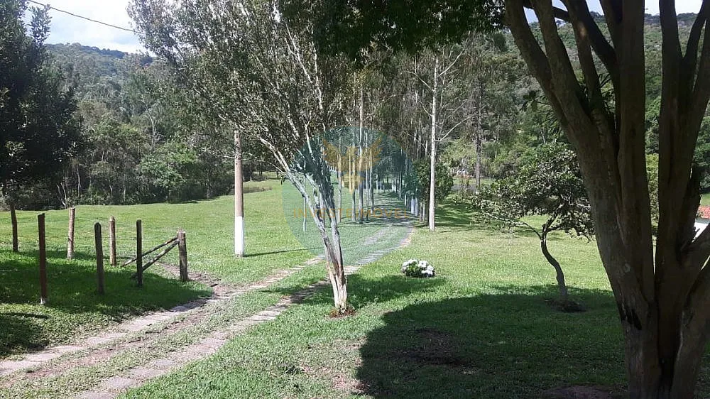 Fazenda, 17 hectares - Foto 4