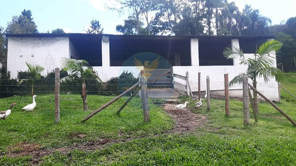Fazenda, 17 hectares - Foto 1