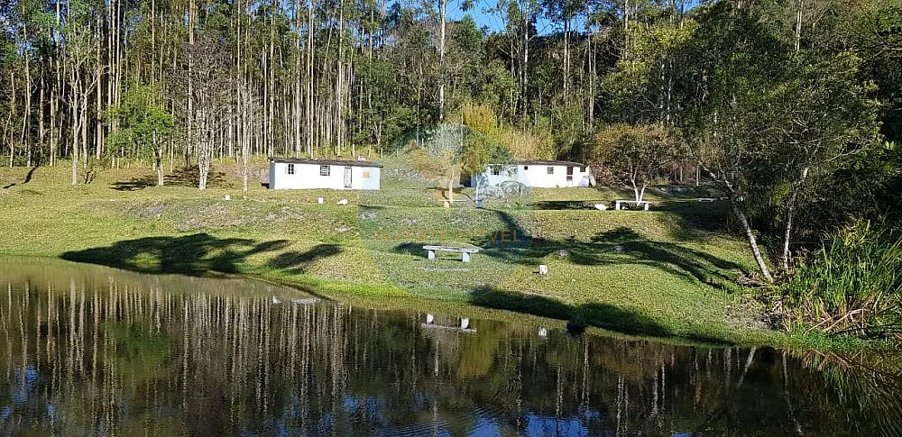 Fazenda, 17 hectares - Foto 6