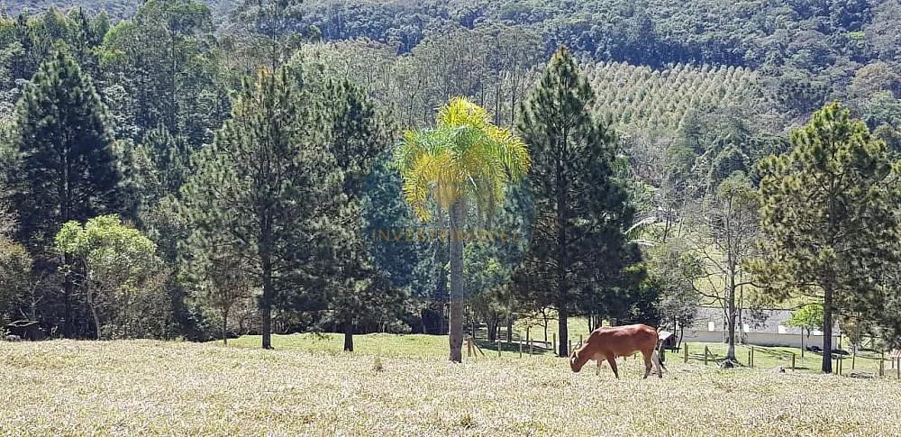 Fazenda, 17 hectares - Foto 12