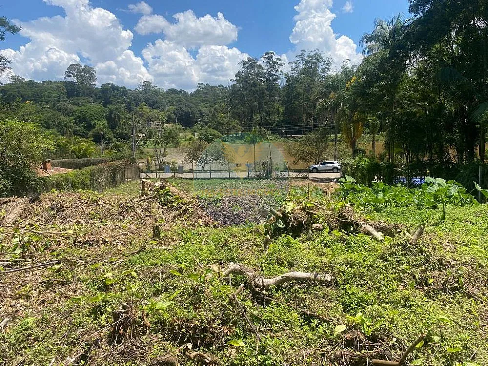 Terreno, 1290 m² - Foto 3