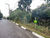 Terreno, 4900 m² - Foto 2