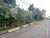 Terreno, 4900 m² - Foto 3