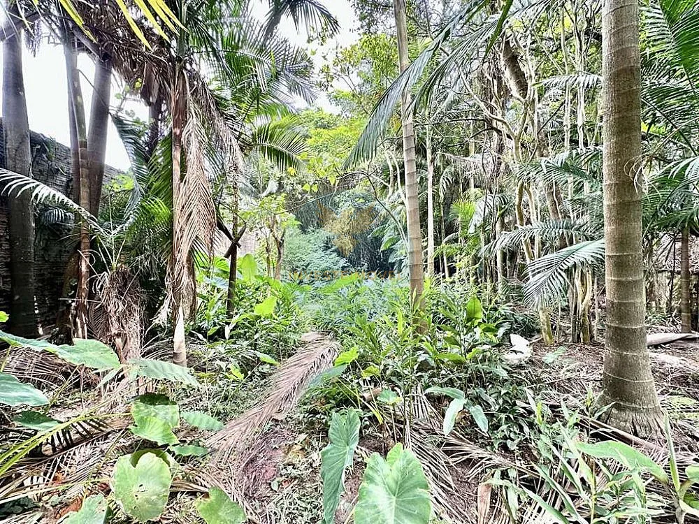 Terreno, 1200 m² - Foto 8