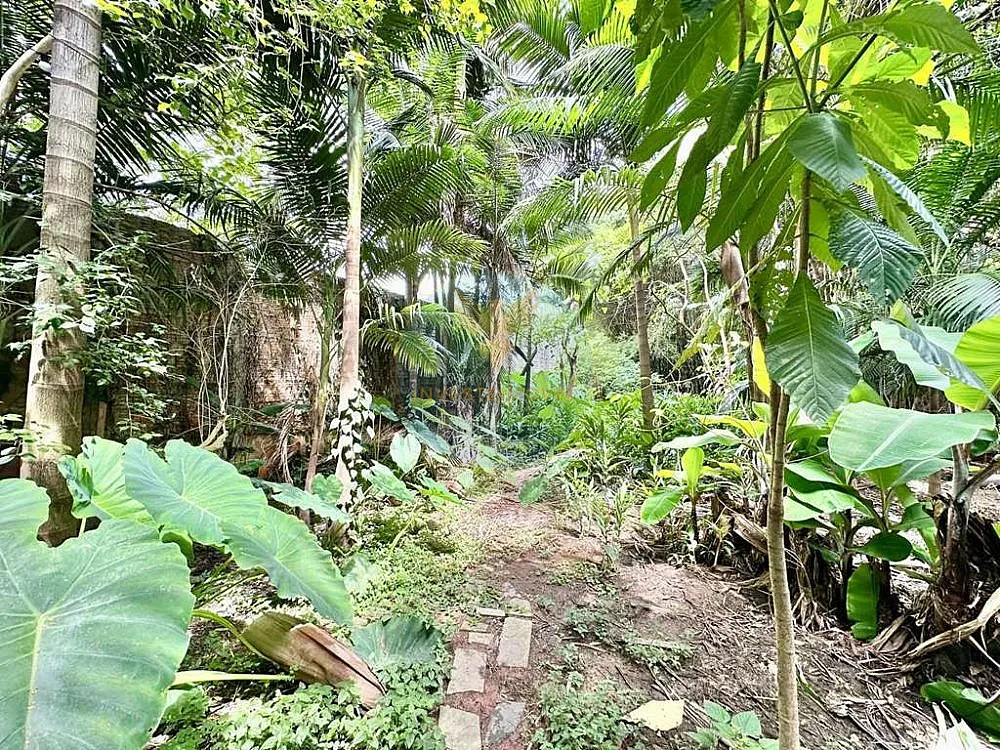 Terreno, 1200 m² - Foto 10